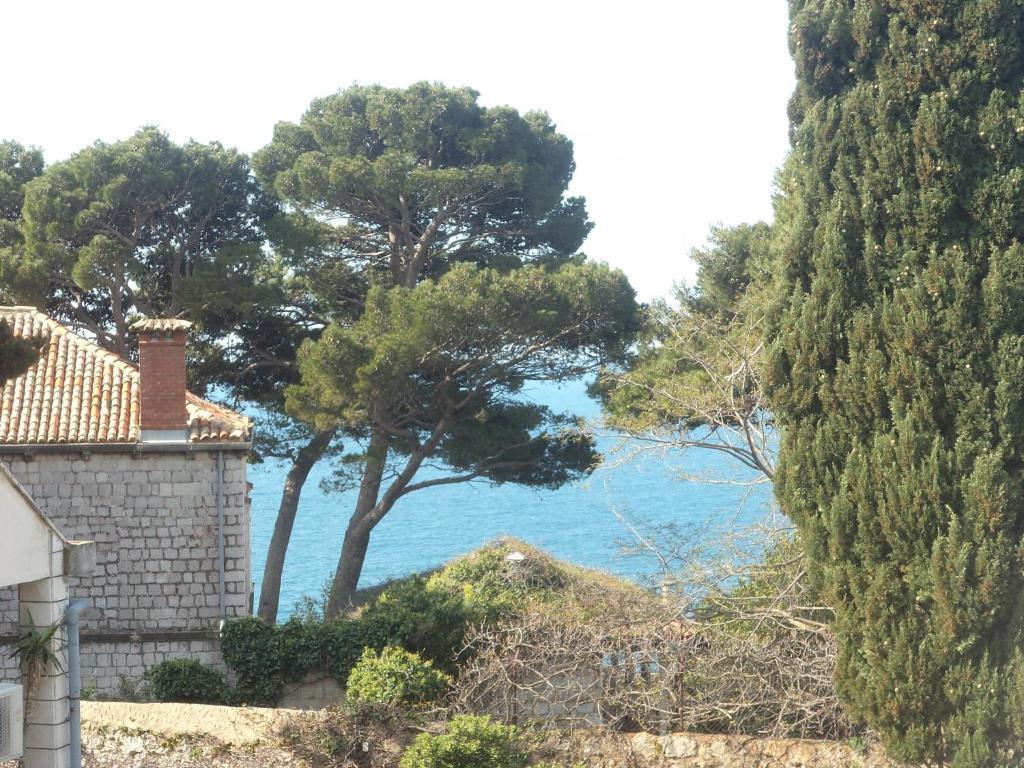 Villa Elly Dubrovnik Rom bilde
